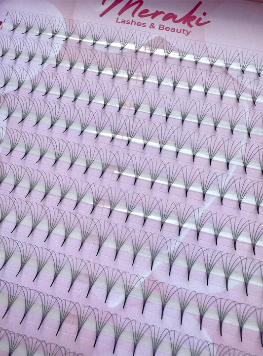 Pointy Stem - 5D - 0.07 - D Curl - Meraki Lashes and Beauty