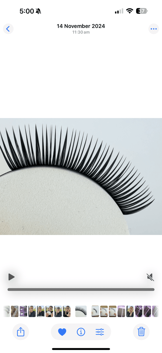 Wet Look Premade Volume Lash Fans - 8 - 15mm Mixed | Meraki - Meraki Lashes and Beauty