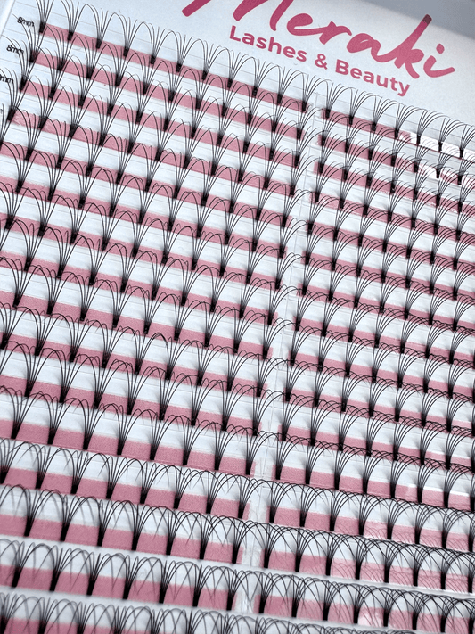 Short Stem - 5D - 0.10 - D Curl - Meraki Lashes and Beauty