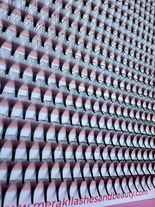 14D - D Curl - 0.05 - Long Stem - Meraki Lashes and Beauty