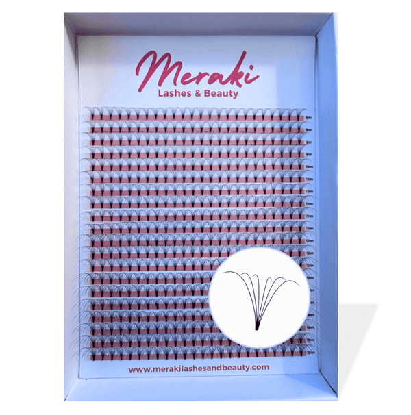 6D - D Curl - 0.07 - Short Stem professional lash supplies Australia