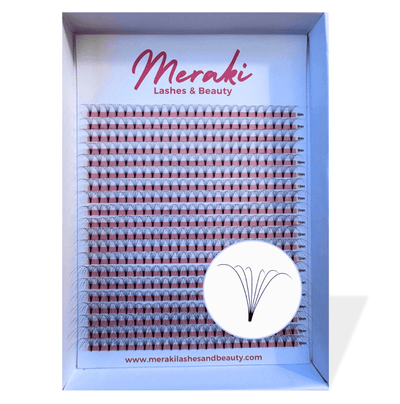 6D Short Stem Volume Fans - 0.07 D Curl | Meraki