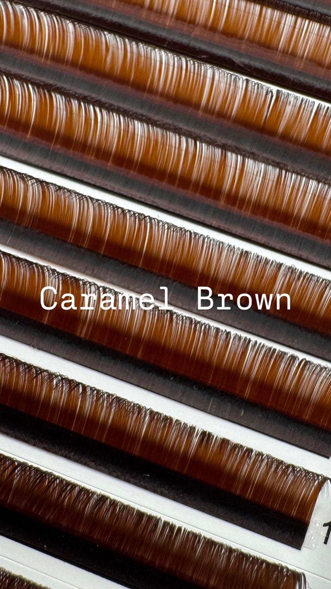 Luxe Brown Volume Collection | 0.05 - Meraki Lashes and Beauty