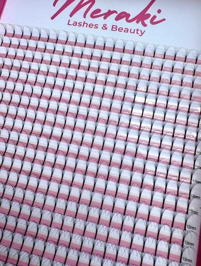 Long Stem - 5D - 0.07 - D Curl