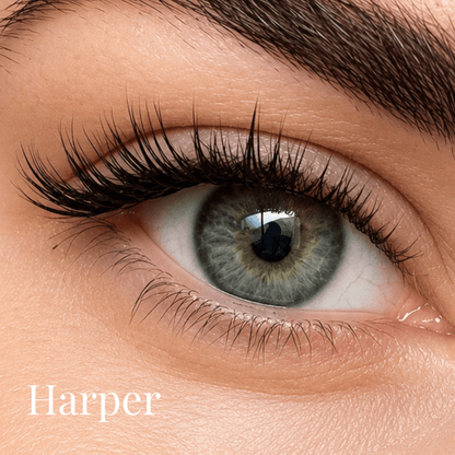 Press-On | Ultimate Kit | 450 Pre-Glued Lash Clusters | Up to 45 Full Sets - Meraki Lashes and Beauty