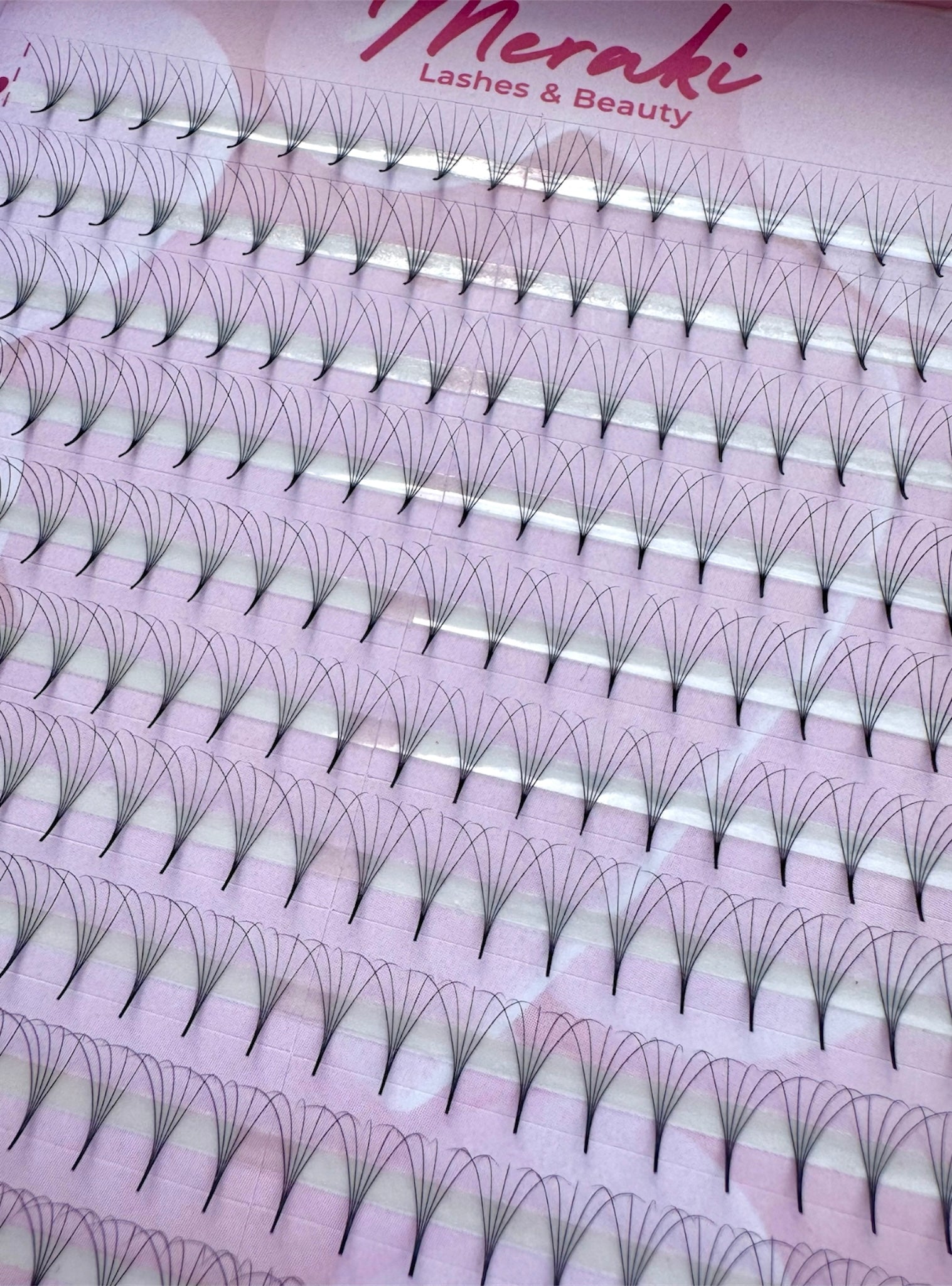 Pointy Stem - 5D - 0.07 - D Curl - Meraki Lashes and Beauty