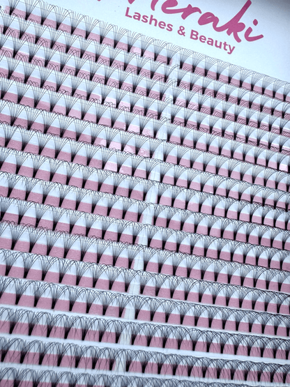 Short Stem - 8D - 0.05 - D Curl - Meraki Lashes and Beauty