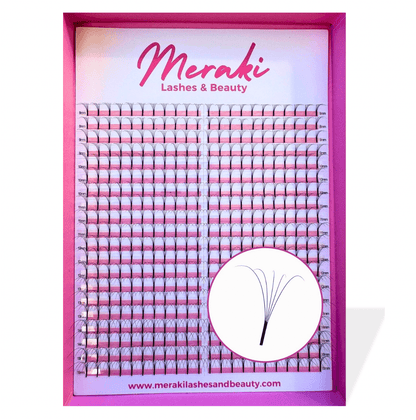 Beginner Lash Tech Starter Kit - Meraki Lashes and Beauty