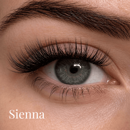 Sienna- 150 Clusters TRAY ONLY - Meraki Lashes and Beauty