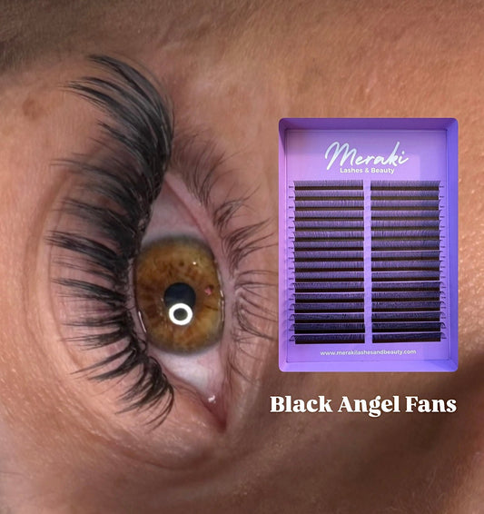 Angel Closed Premade Fans | Meraki - Meraki Lashes and Beauty