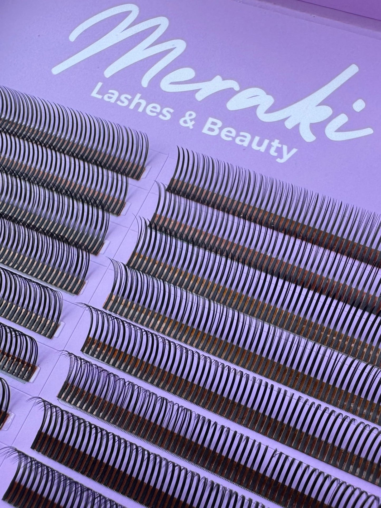 Angel Closed Fans - Black - 0.07 - Meraki Lashes and Beauty