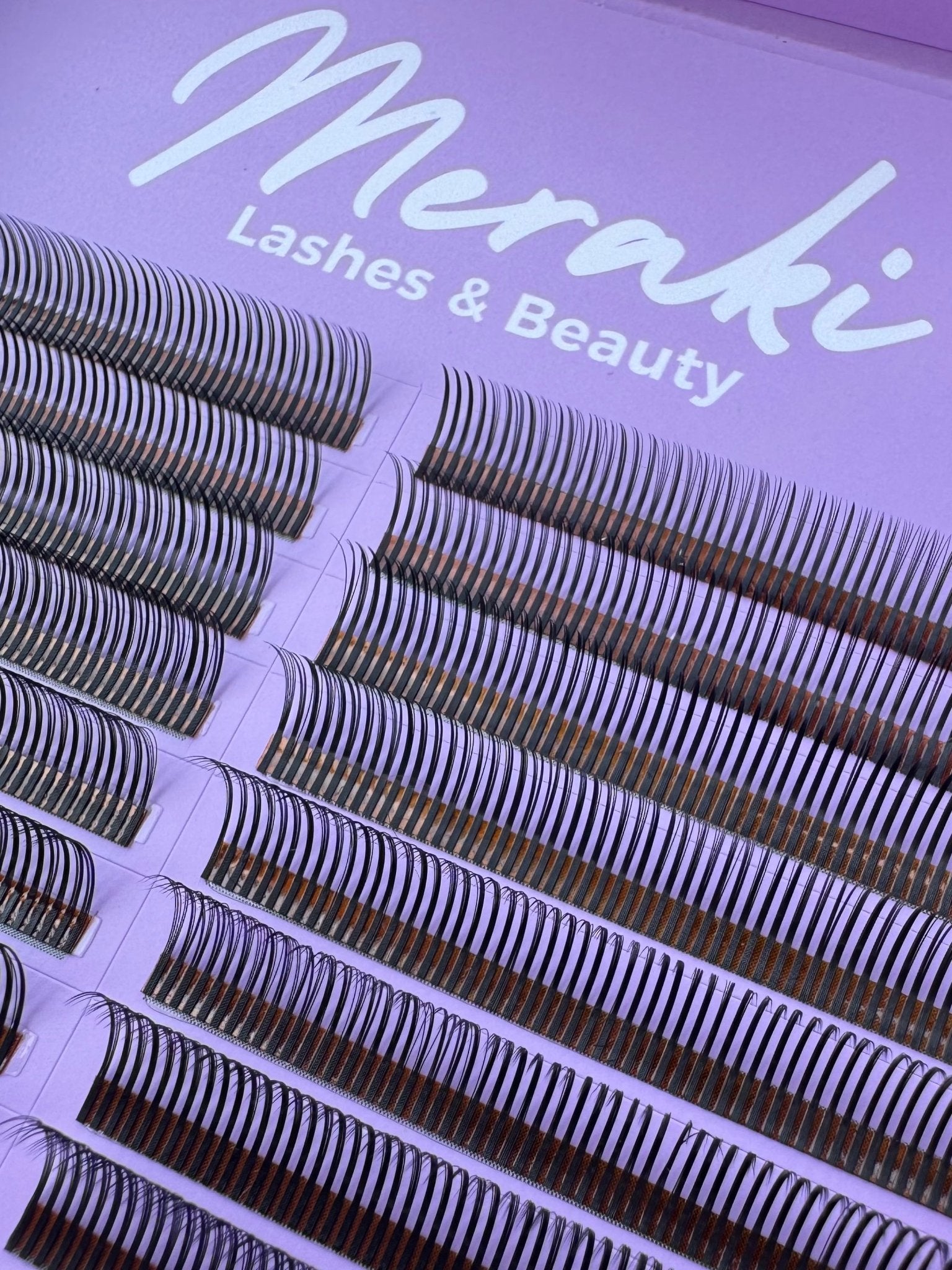 Angel Closed Fans - Black - 0.07 - Meraki Lashes and Beauty