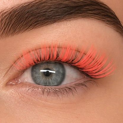 The Luxe Kit | Mix & Match Any 3 Styles |Up to 14 Full Sets - Meraki Lashes and Beauty
