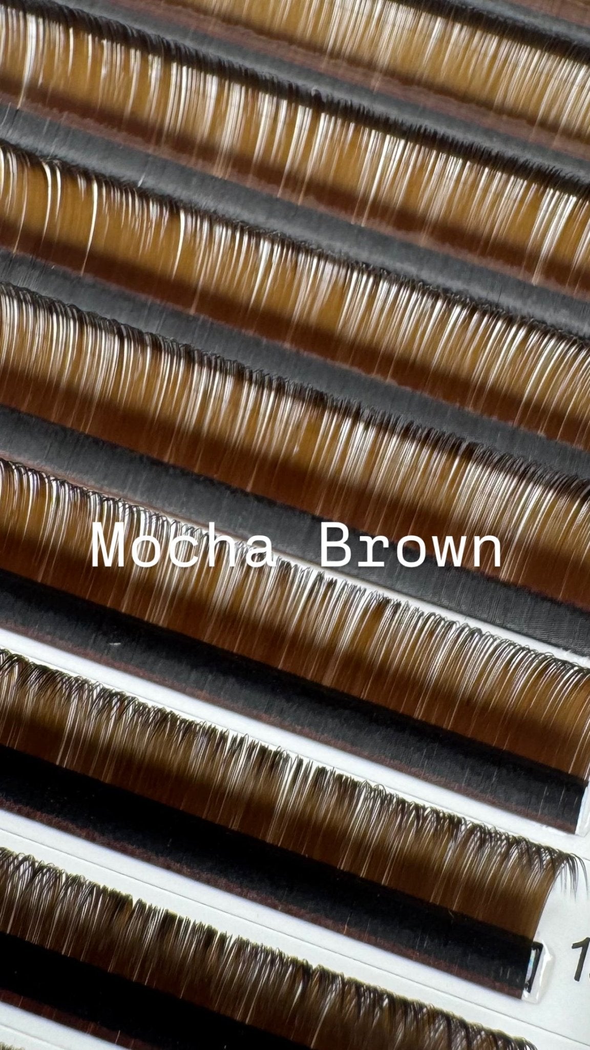 Luxe Brown Volume Collection | 0.05 - Meraki Lashes and Beauty