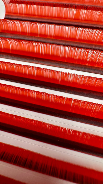 The Colour Collection - Meraki Lashes and Beauty