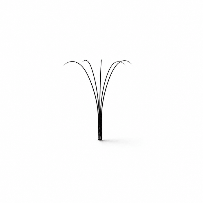 Long Stem Premade Fan Collection - Meraki Lashes and Beauty