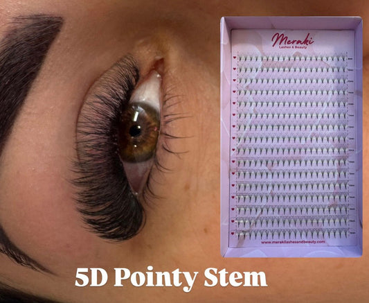 5D Pointy Stem Volume Fans - 0.07 | Meraki - Meraki Lashes and Beauty