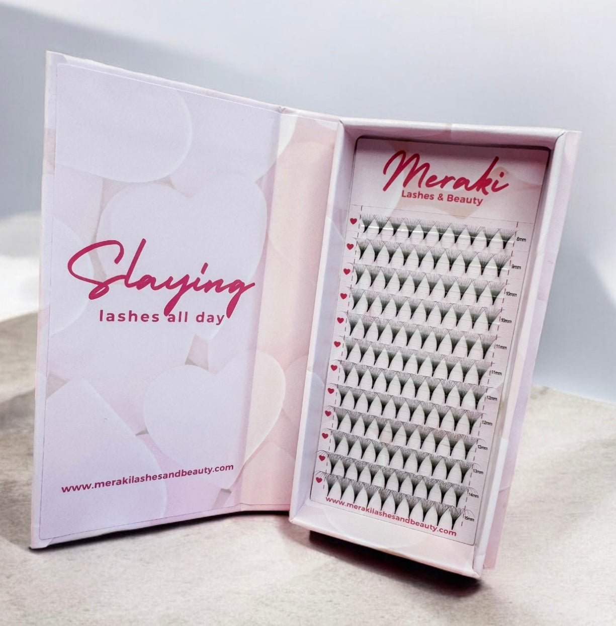 14D Pointy 12 Line Mixed Tray - Meraki Lashes and Beauty