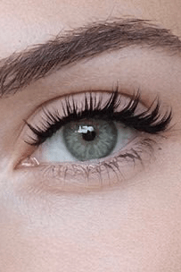 Natarsha — Wispy Volume DIY Lash Clusters (Refill Tray, 10–14mm Mix) - Meraki Lashes and Beauty