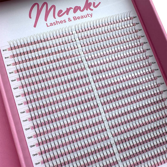 Long Stem - 3D - 0.07 - D Curl - Meraki Lashes and Beauty