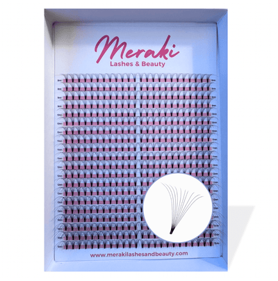 10D Short Stem Volume Fans - 0.05 D Curl | Meraki