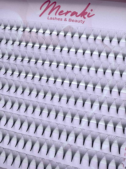 Pointy Stem - 10D - 0.05 - D Curl - Meraki Lashes and Beauty