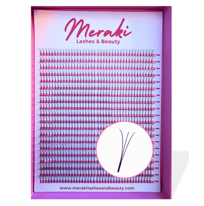 3D Long Stem Volume Fans - C&D Curl | Meraki - Meraki Lashes and Beauty