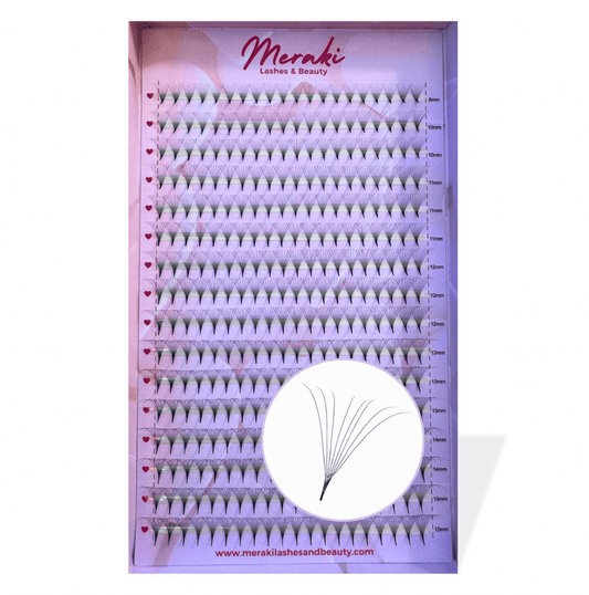 8D Pointy Stem Volume Fans - 0.05 | Meraki - Meraki Lashes and Beauty