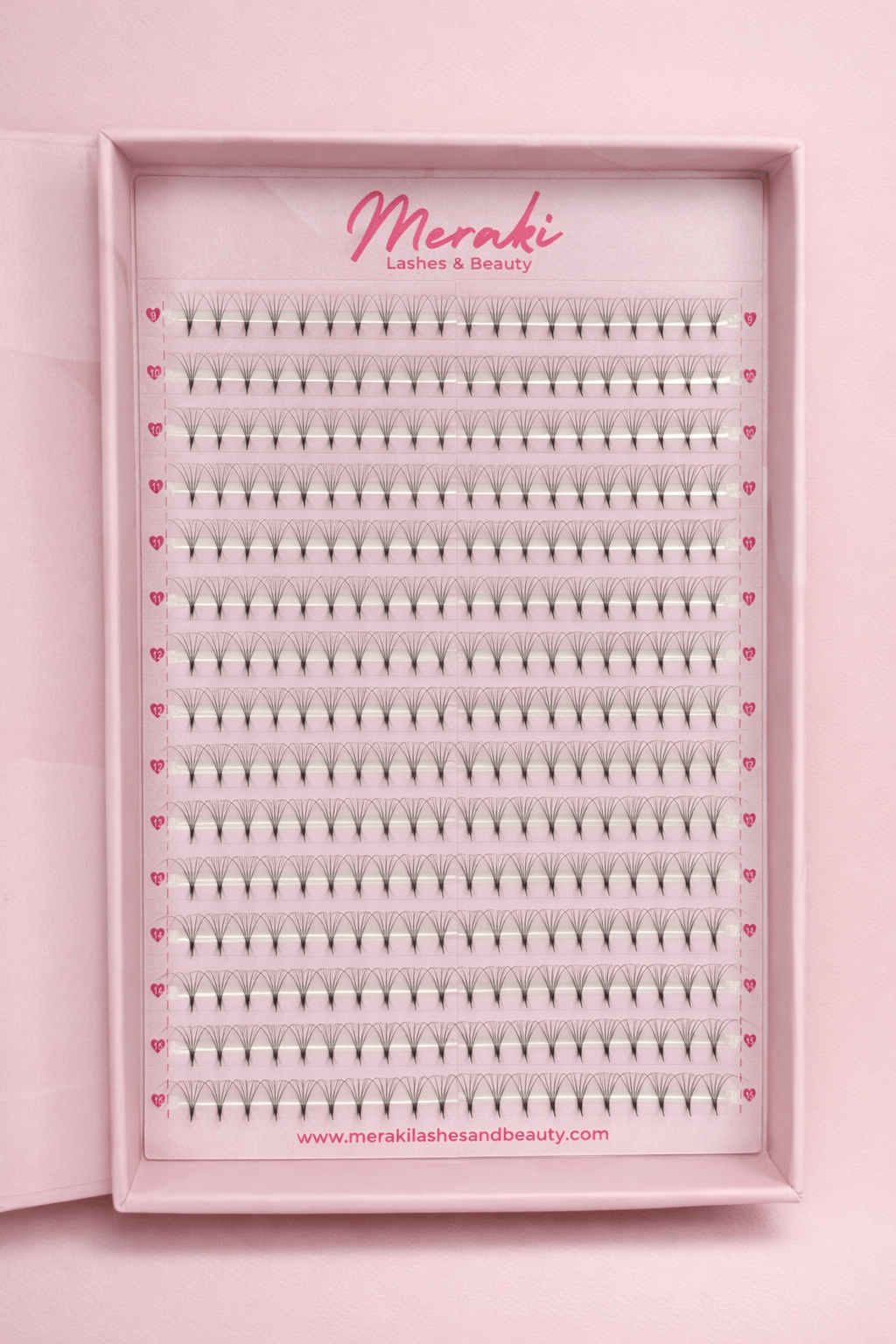 Pointy Stem - 5D - 0.07 - D Curl - Meraki Lashes and Beauty