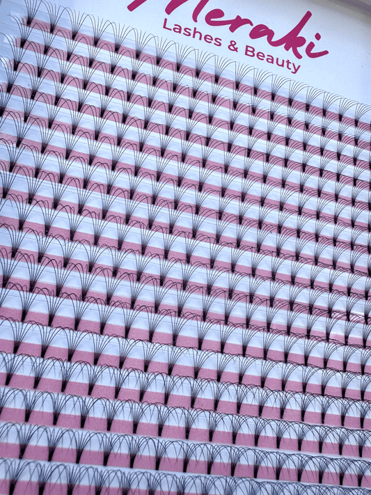 Short Stem - 6D - 0.07 - D Curl - Meraki Lashes and Beauty