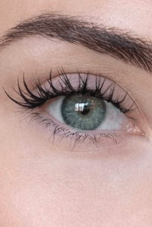 Malia — Classic Mascara DIY Lash Clusters (Refill Tray, 10–14mm Mix) - Meraki Lashes and Beauty